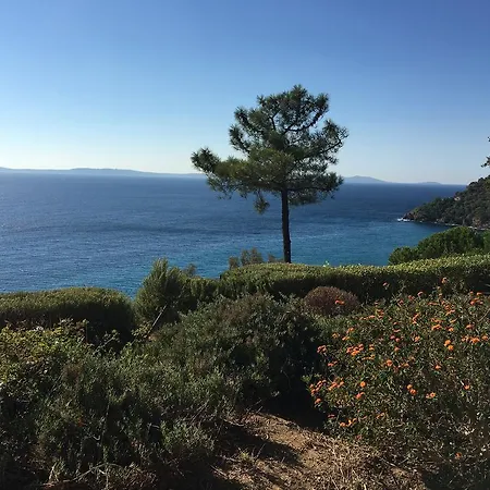 Caline * Le Lavandou